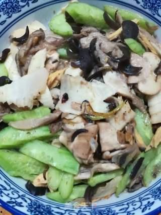 娱乐吃瓜菌作品