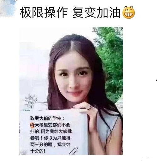 娱乐吃瓜酱纯爱